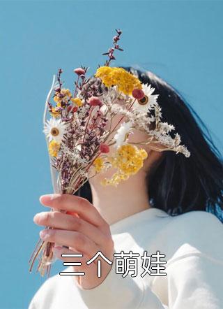 重生七零：上门女婿他崛起了畅读全文版