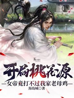 夜先生，苏小姐从缅北杀回来了畅读全文版