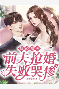 秦少的闪婚娇妻完整作品