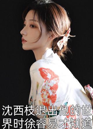 完整文本阅读仕途崛起：从给女县长当秘书开始