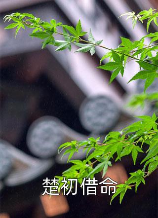 亡国后，公主一刀刺向冷面夫君全章节阅读