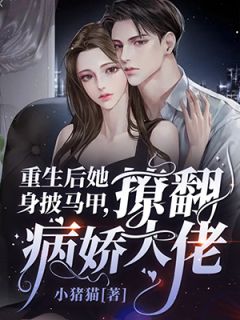 镇国医圣：这女婿不好当完整版